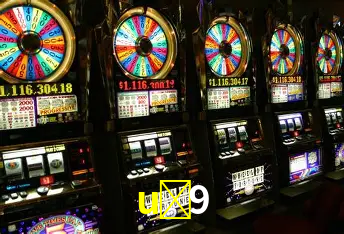 Apostas Esportivas na u-9: Um Guia Completo